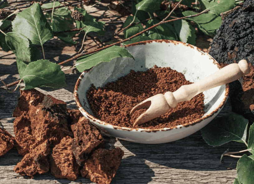 Menovelle Chaga Mushroom png